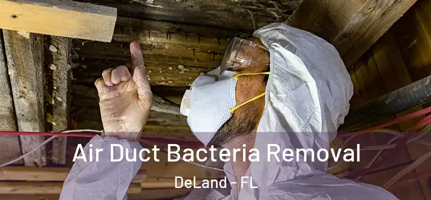 Air Duct Bacteria Removal DeLand - FL