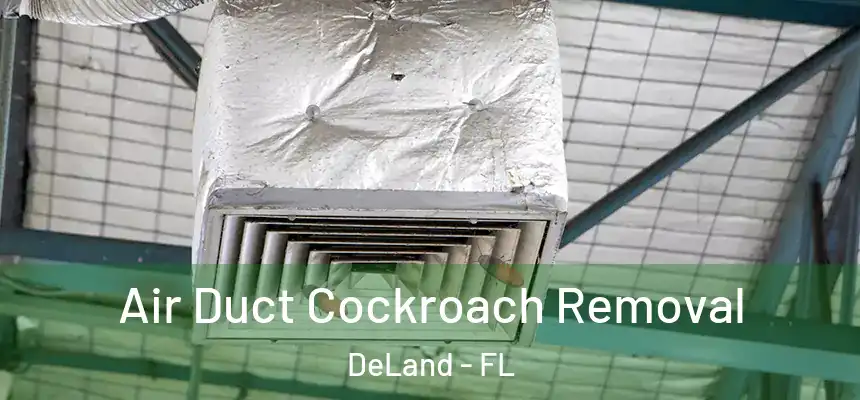 Air Duct Cockroach Removal DeLand - FL