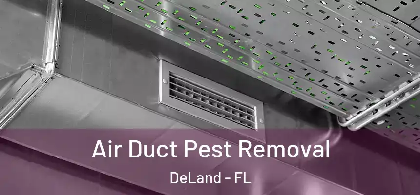 Air Duct Pest Removal DeLand - FL