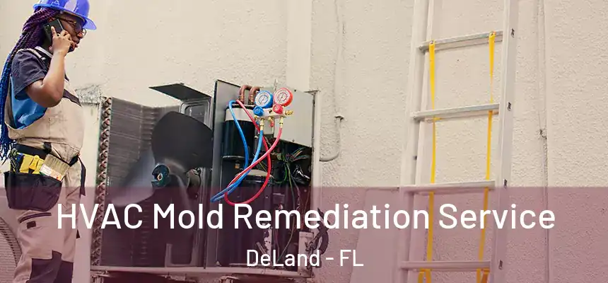 HVAC Mold Remediation Service DeLand - FL