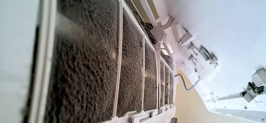 Preventive Air Duct Bacteria Removal in DeLand