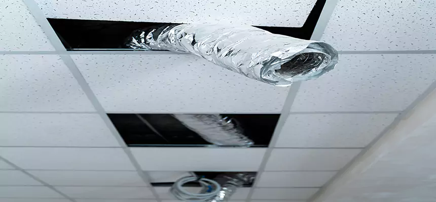 Affordable HVAC Sanitizing After Pest Removal in DeLand