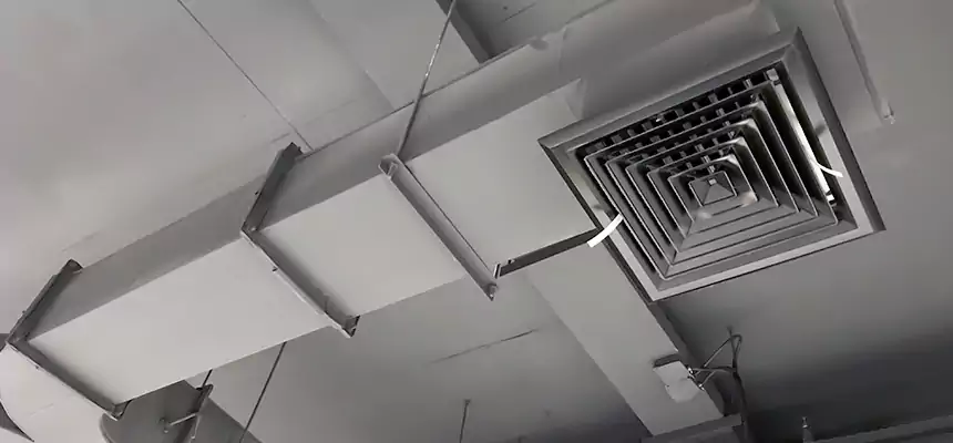 Restorative Allergy Relief Vent Cleaning – Coil, Blower & Housing Detail in DeLand