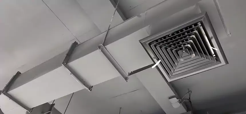 Our Pest Removal From Ducts Services in DeLand, FL