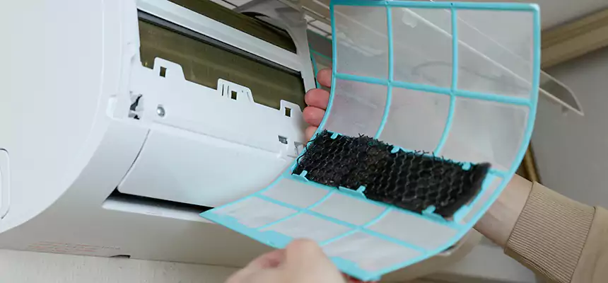 Gentle Ductwork Odor-Control Pet Dander Duct Cleaning in DeLand, FL