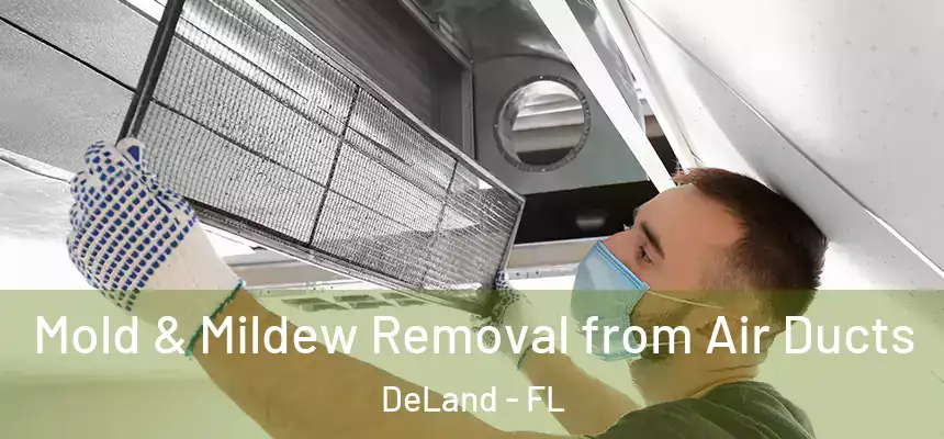 Mold & Mildew Removal from Air Ducts DeLand - FL