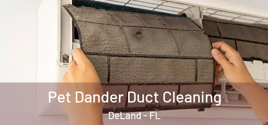 Pet Dander Duct Cleaning DeLand - FL