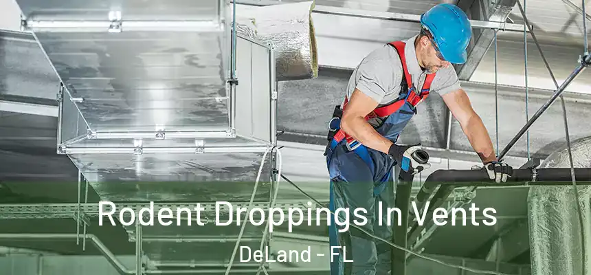 Rodent Droppings In Vents DeLand - FL