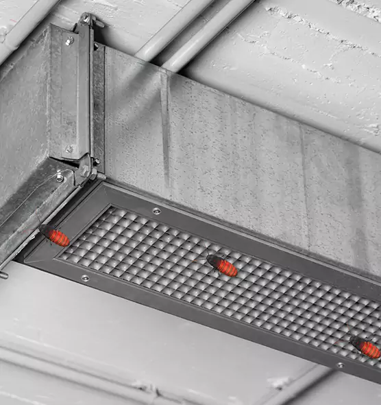 About Air Duct Cockroach Removal in DeLand, FL