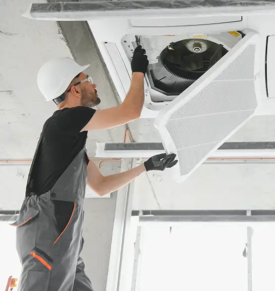 About Air Duct Rodent Removal in DeLand, FL