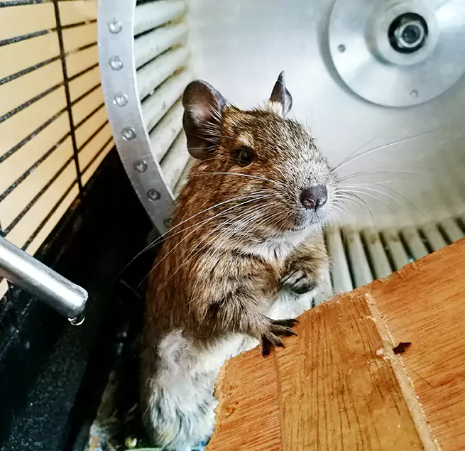 Why Homeowners & Businesses Trust Us DeLand, FL?