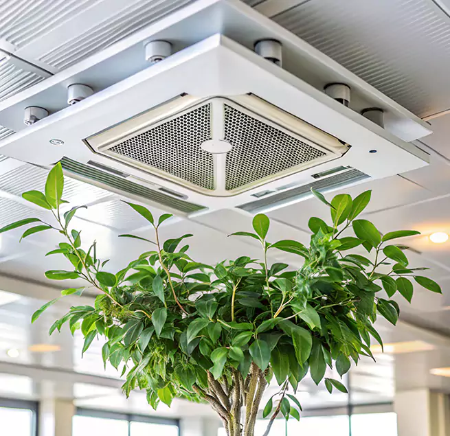 Why Homeowners & Businesses Trust Us in DeLand, FL