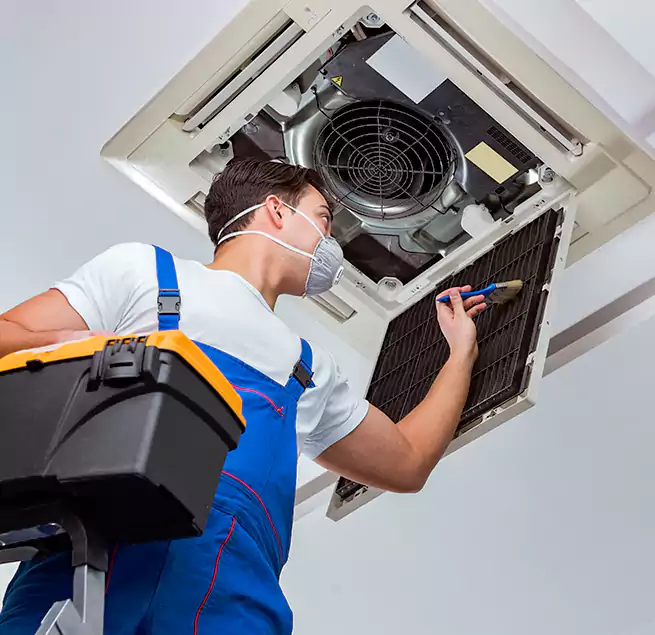 Why Homeowners & Businesses Trust Us in DeLand, FL?