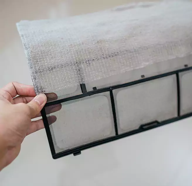 Why Homeowners & Businesses Trust Us in DeLand, FL?